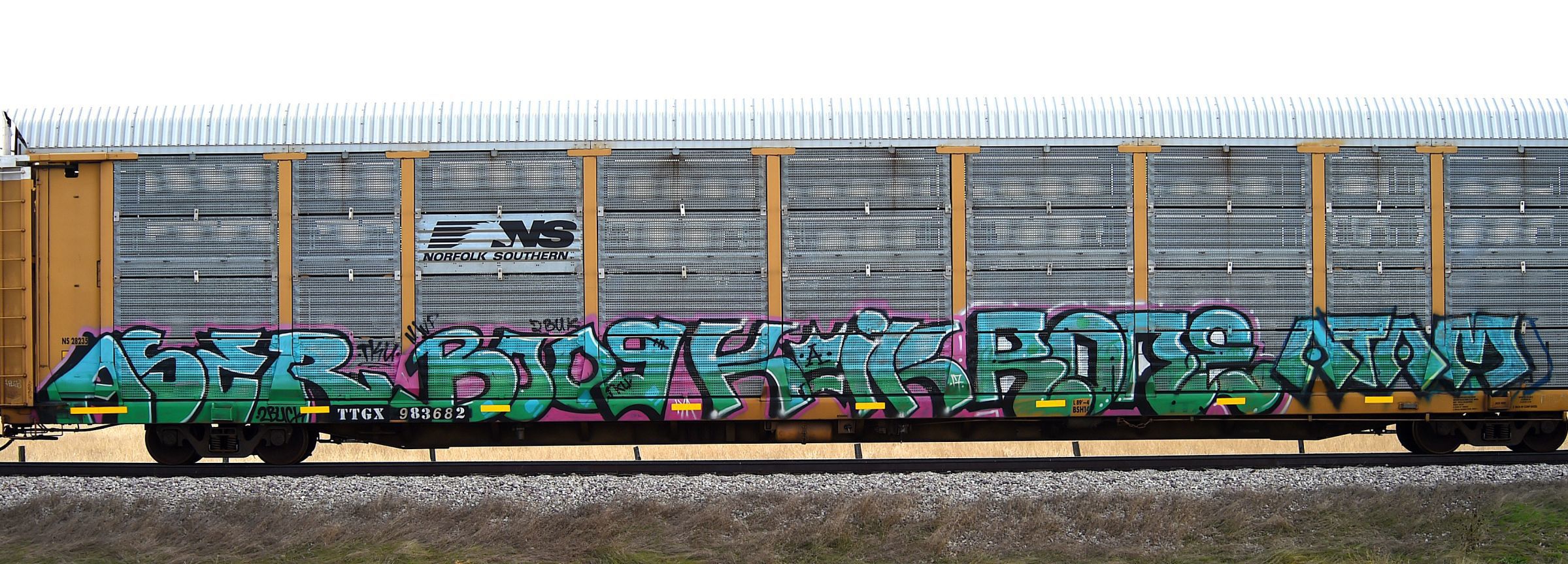 Graffiti rail cars
